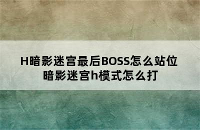 H暗影迷宫最后BOSS怎么站位 暗影迷宫h模式怎么打